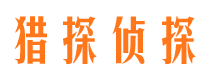 清新市调查公司